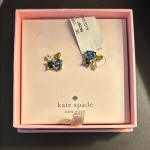 Kate Spade Blue and Green Earrings